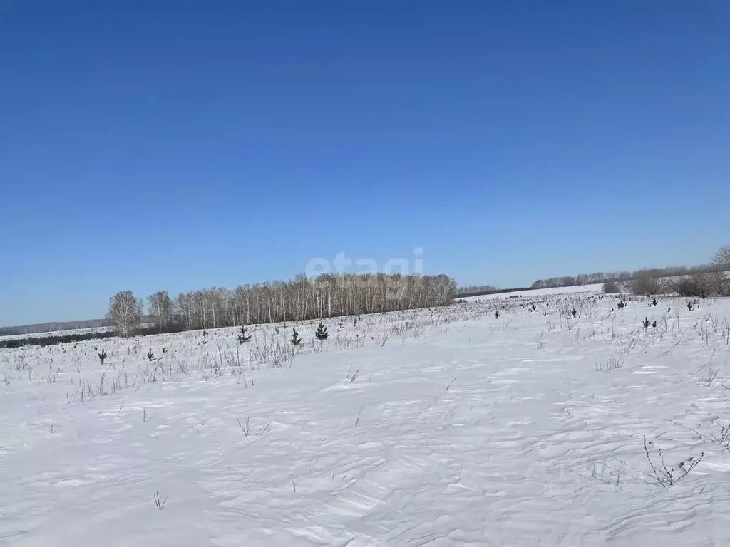 Участок в Челябинская область, Сосновский район, Солнечное с/пос, пос. ... - Фото 0