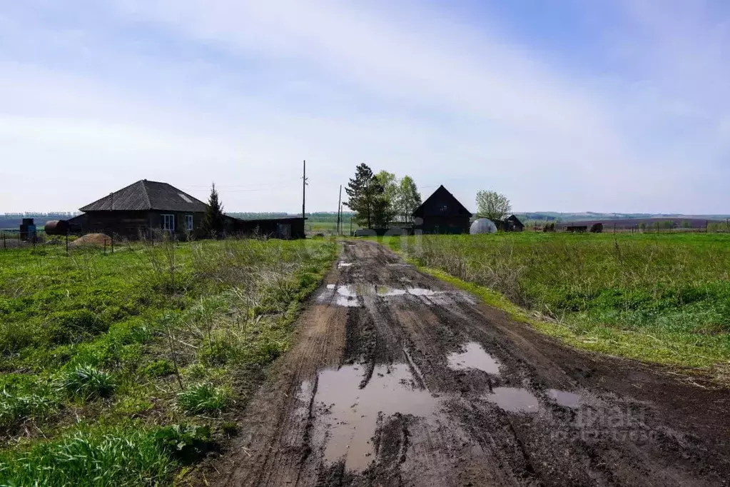 Участок в Кемеровская область, Новокузнецк Новая ул. (26.3 сот.) - Фото 1