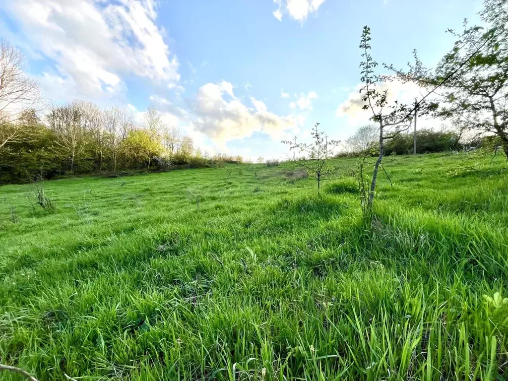 Участок в Краснодарский край, Апшеронский район, Куринское с/пос, пос. ... - Фото 1