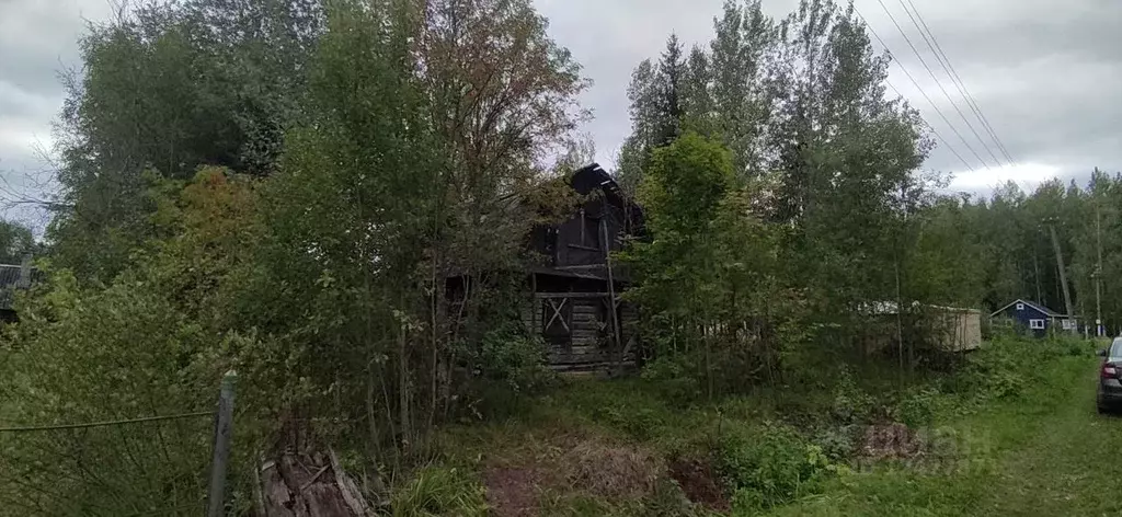 Дом в Ленинградская область, Лужский район, Мшинское с/пос, Мшинская . - Фото 0