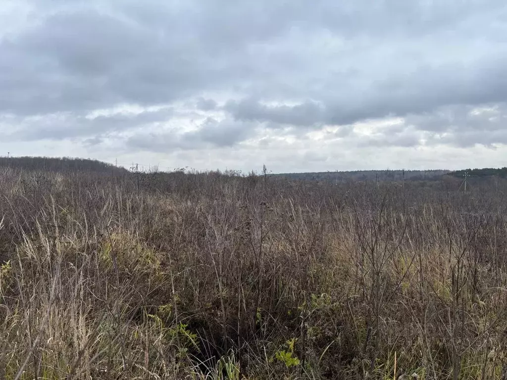 Участок в Московская область, Воскресенск городской округ, д. ... - Фото 1