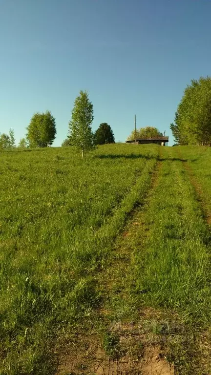 Участок в Коми, Сыктывдинский район, Ыб муниципальное образование, с. ... - Фото 1