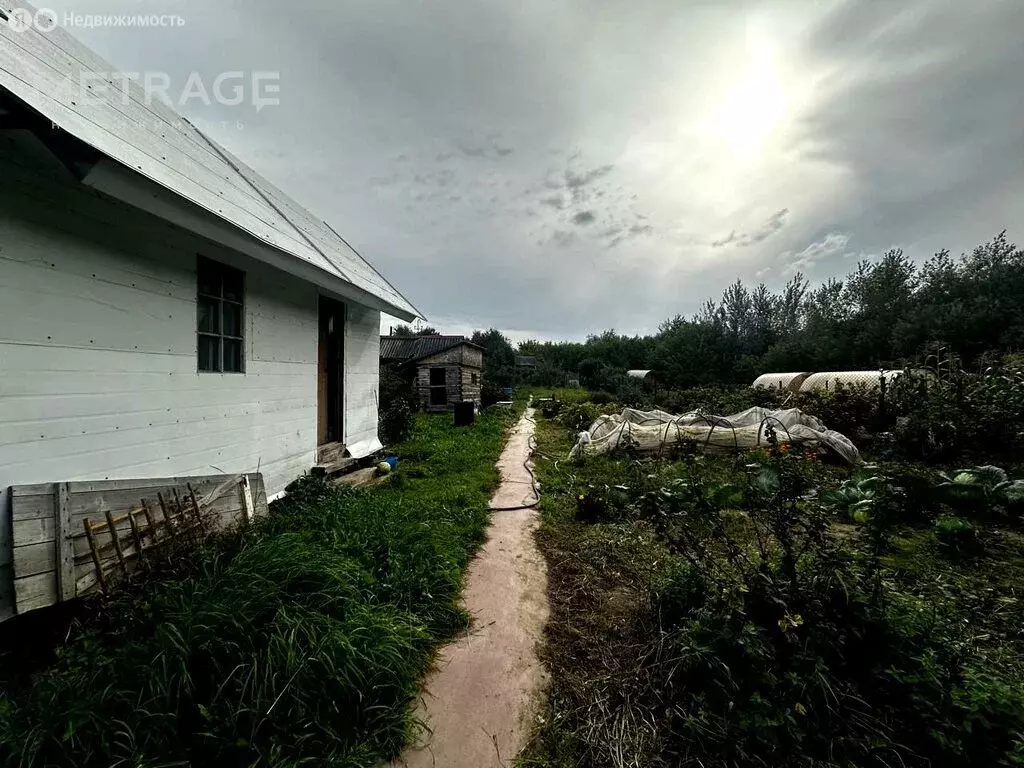 Участок в Новосибирск, садовое товарищество Ложок (5.5 м) - Фото 1