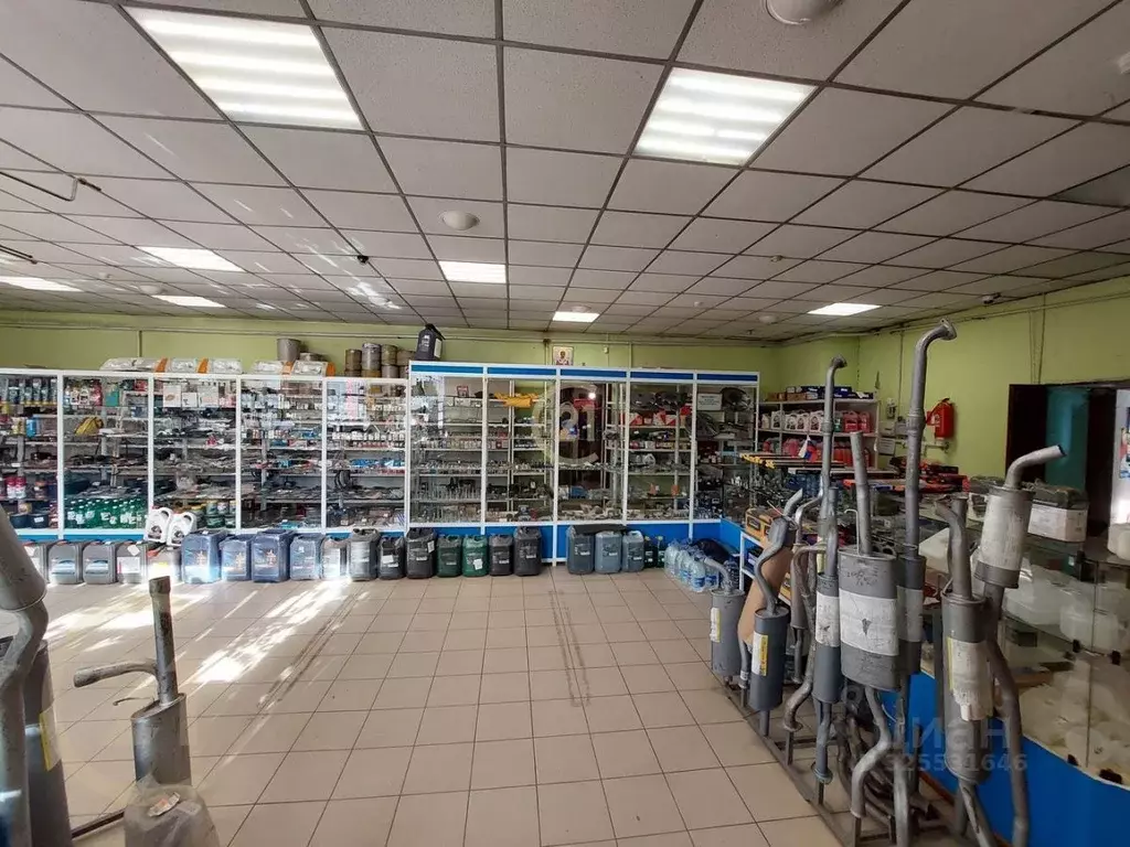 Помещение свободного назначения в Тамбовская область, Тамбов городской ... - Фото 1