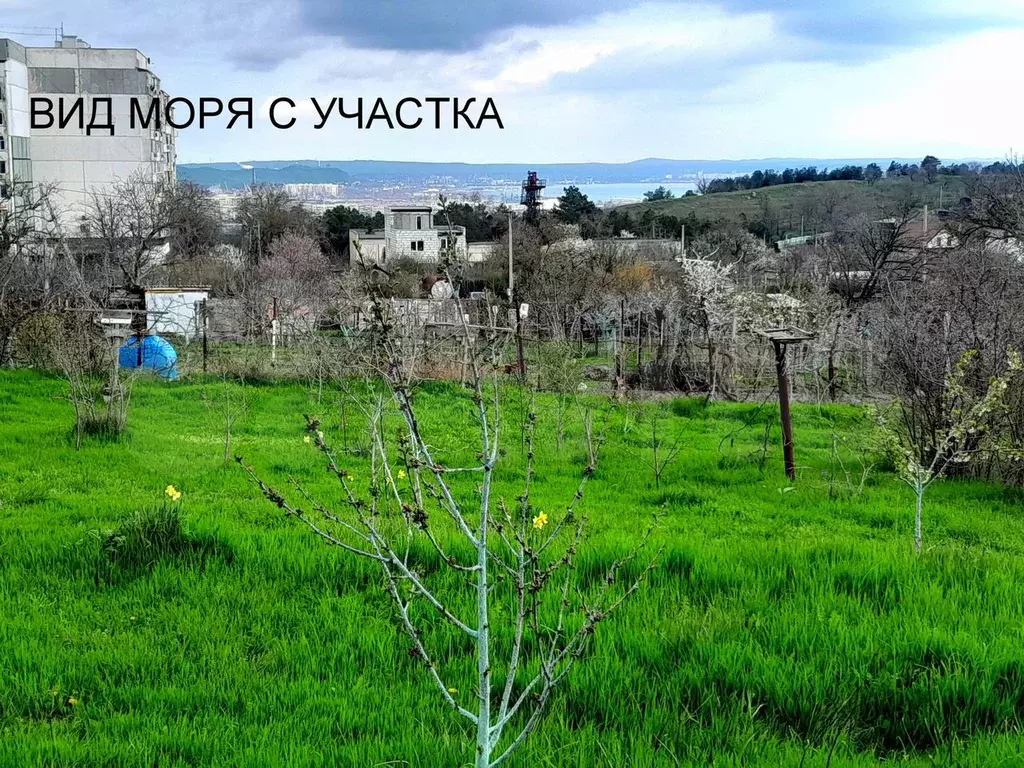 Дача 30 м на участке 6 сот. - Фото 0