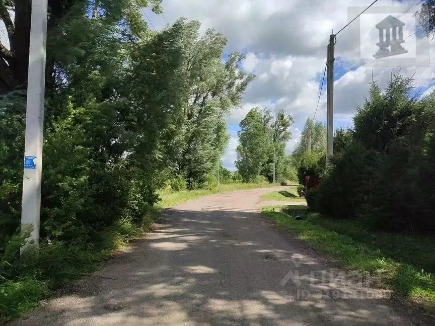 Участок в Калининградская область, пос. Лесное ул. Крымская (6.0 сот.) - Фото 0