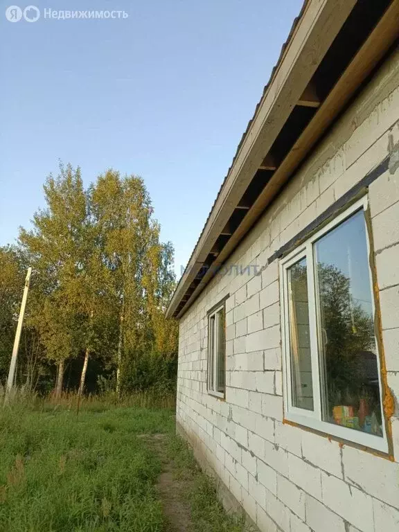 Дом в Нижегородская область, Богородский муниципальный округ, деревня ... - Фото 1