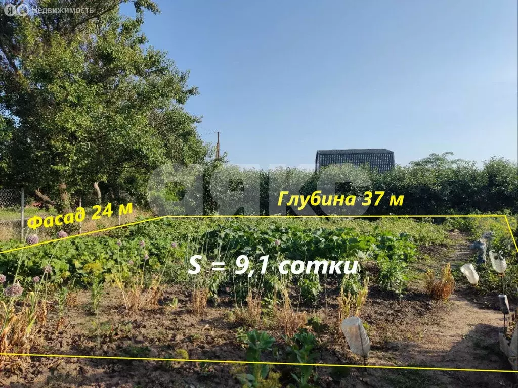 Участок в Курчанская, Пионерская улица, 6 (9.1 м) - Фото 0