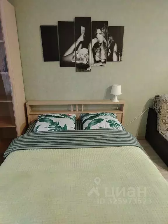 Студия Московская область, Ногинск Богородский городской округ, ул. ... - Фото 1