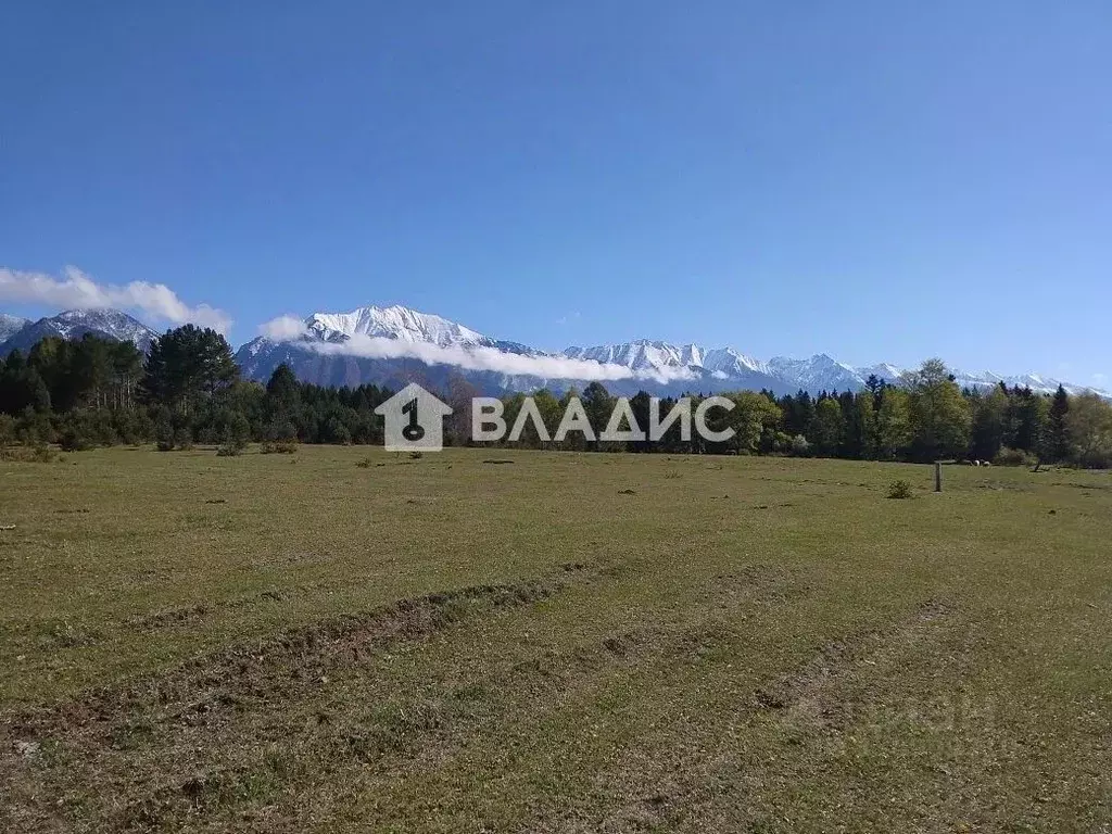 Участок в Бурятия, Тункинский район, с. Тагархай ул. Тулаева (12.5 ... - Фото 2