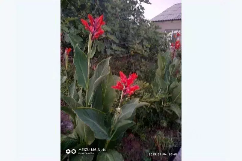 Дом в Крым, Судак городской округ, с. Веселое ул. Исы Маштака, 1 (110 ... - Фото 2