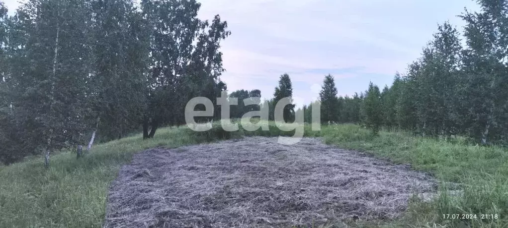 Участок в Красноярский край, Березовский район, Зыковский сельсовет, ... - Фото 1