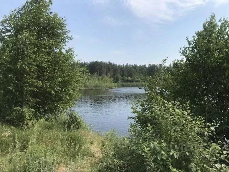 Участок в Самарская область, Ставропольский район, Нижнее Санчелеево ... - Фото 1