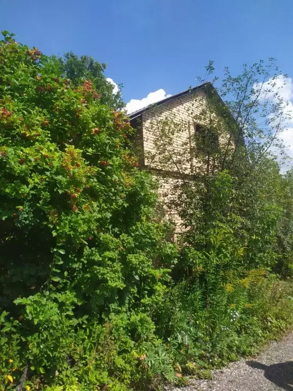 Участок в Пензенская область, Пенза Имени Мичурина завода ВЭМ садовое ... - Фото 1