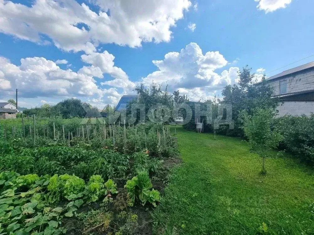 Дом в Алтайский край, Барнаул Декоратор СНТ, 34 (30 м) - Фото 2