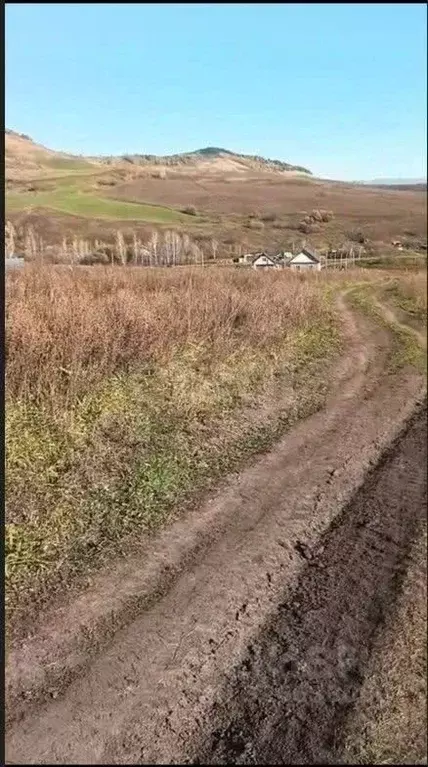 Участок в Алтай, Майминский район, с. Верх-Карагуж  (10.0 сот.) - Фото 1