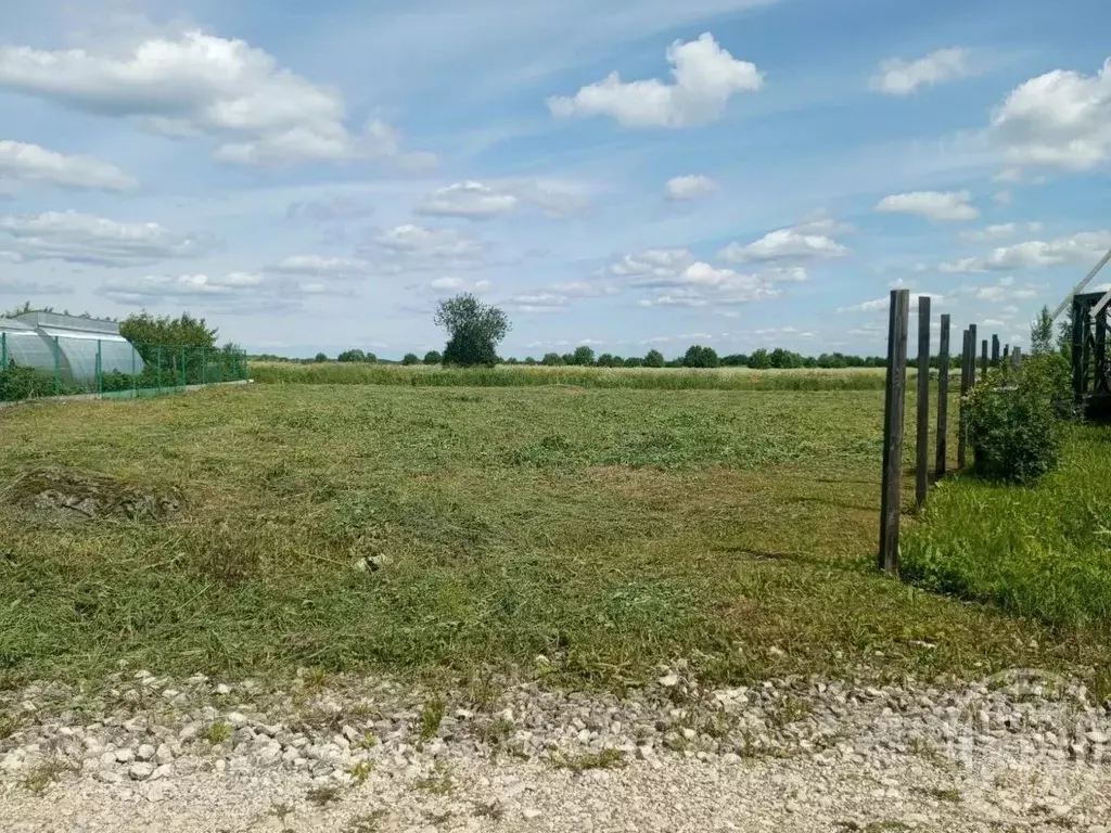 Участок в Ленинградская область, Ломоносовский район, Гостилицкое ... - Фото 1