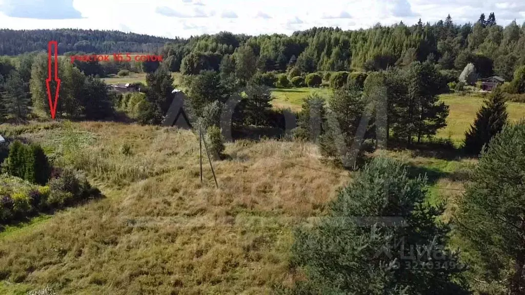 Участок в Ленинградская область, Приозерский район, Красноозерное ... - Фото 0