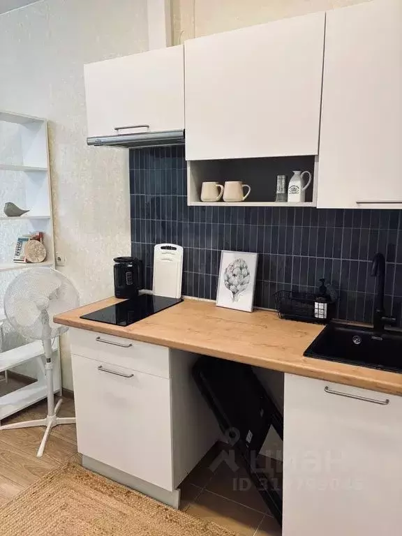 Студия Ленинградская область, Мурино Всеволожский район, аллея ... - Фото 2