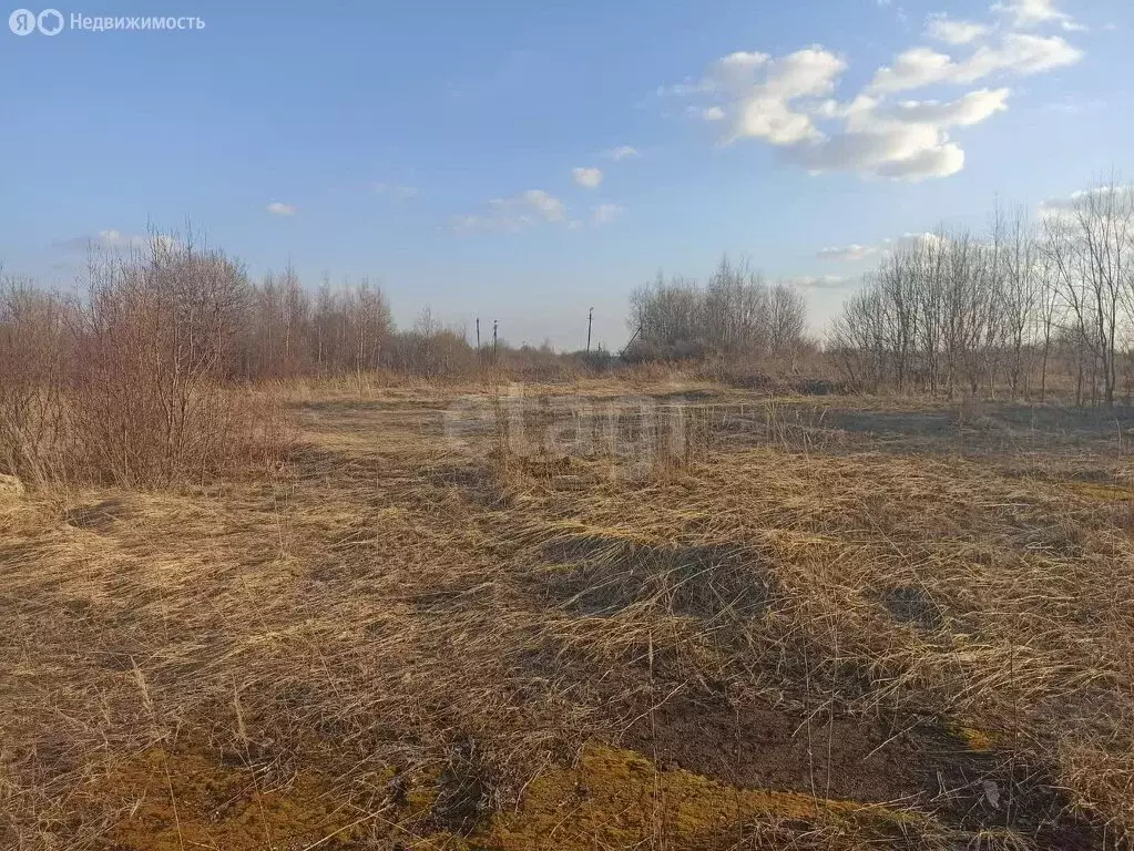 Участок в посёлок городского типа Красное-на-Волге, посёлок ... - Фото 0