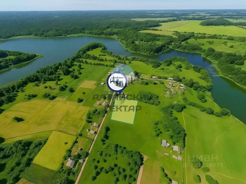 Участок в Алтайский край, Косихинский район, с. Озеро-Красилово  ... - Фото 1