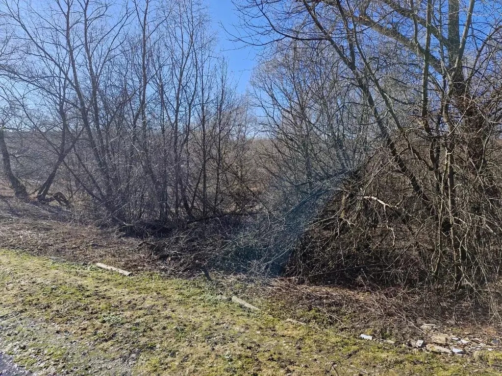 Участок в Московская область, Ступино городской округ, д. Щербинино  ... - Фото 1