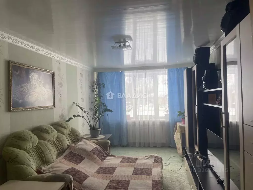 2-к кв. Московская область, Серебряные Пруды муниципальный округ, с. ... - Фото 2