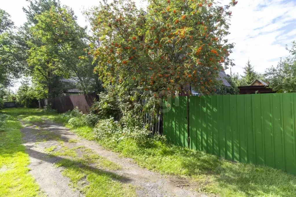 Дом в Тюменская область, Тюмень Топаз СНТ, ул. Рябиновая (35 м) - Фото 1