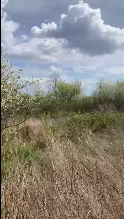 Участок в Калининградская область, Черняховск  (9.0 сот.) - Фото 1