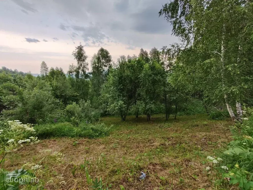 Участок в Алтай, Горно-Алтайск Поселковая ул. (10.1 сот.) - Фото 2