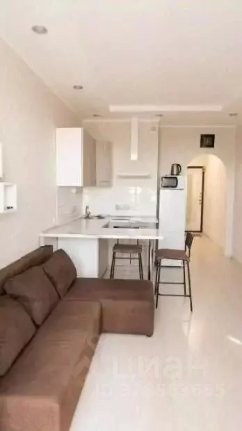 Студия Московская область, Ленинский городской округ, Дрожжино пгт ш. ... - Фото 2