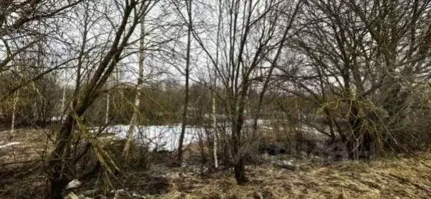 Участок в Московская область, Коломна городской округ, пос. Пески  ... - Фото 0