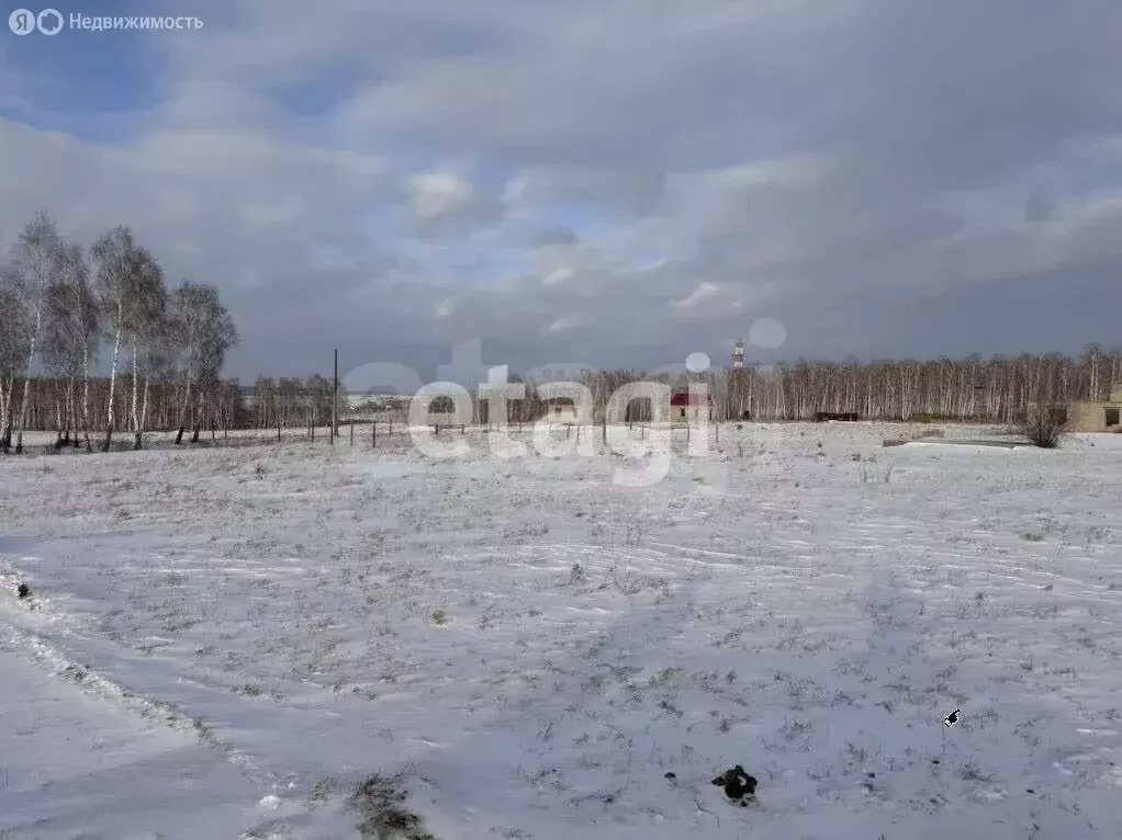Участок в Красноярский край, Емельяновский муниципальный округ, дачный ... - Фото 2