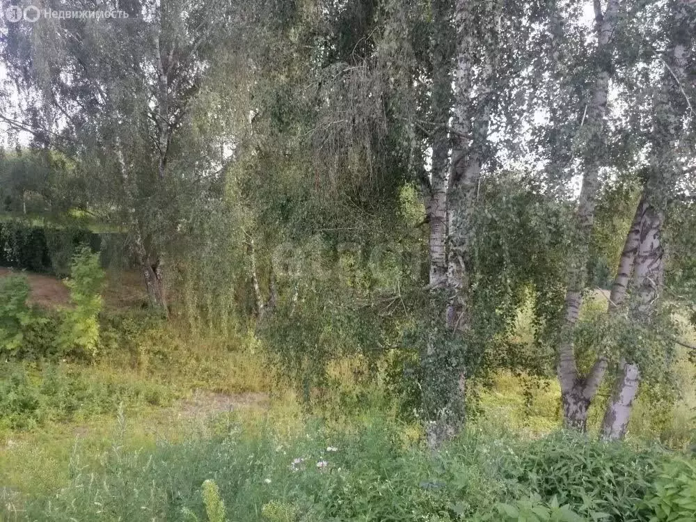 1-комнатная квартира: село Клязьминский Городок, улица Фабричный ... - Фото 2