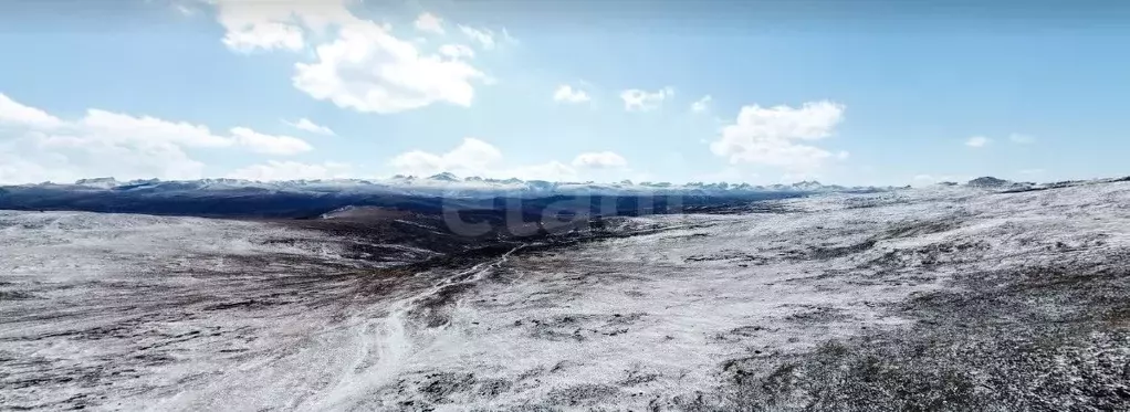 Участок в Алтай, Кош-Агачский район, Джазаторское с/пос, с. Беляши  ... - Фото 1