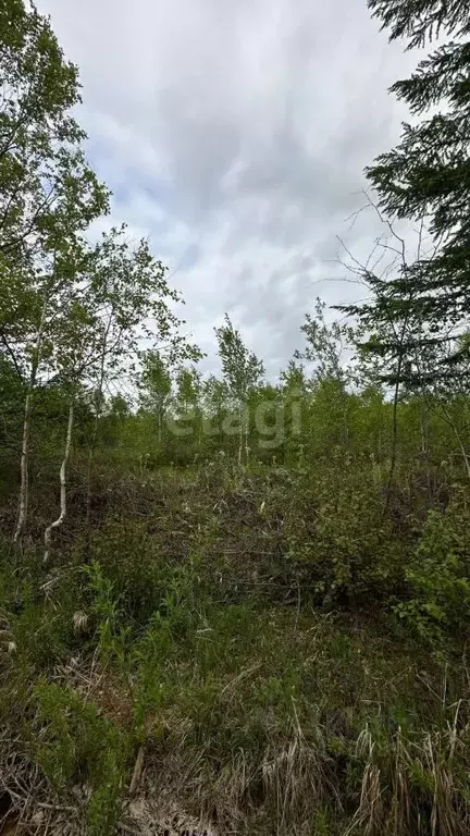 Участок в Сахалинская область, Южно-Сахалинск Лиственничное п/р,  (9.4 ... - Фото 0