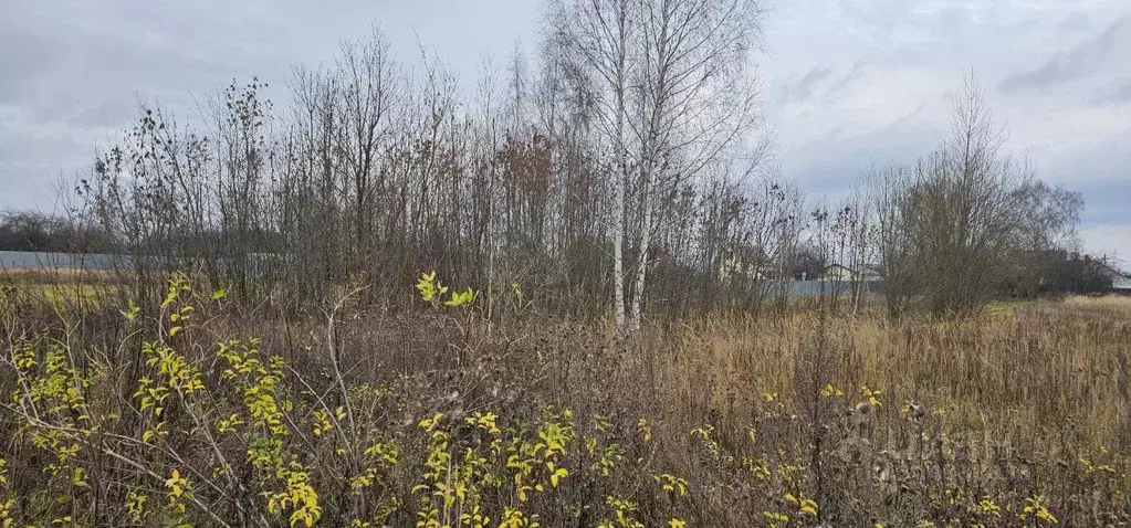 Участок в Московская область, Луховицы муниципальный округ, д. ... - Фото 2