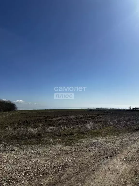 Участок в Крым, Ленинский район, Челядиновское с/пос, с. Челядиново ... - Фото 1