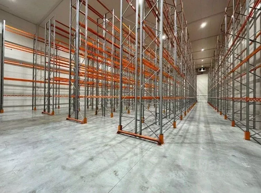 Склад в Санкт-Петербург пос. Парголово, Горское ш., 6соор1 (1159 м) - Фото 2