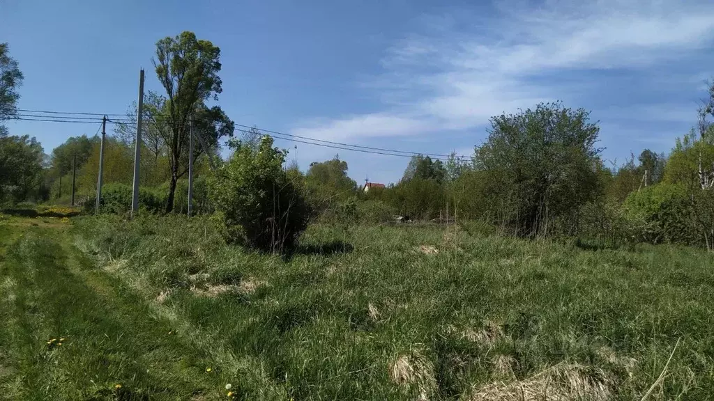 Участок в Калининградская область, Калининград Балтиец СНТ, проезд ... - Фото 1