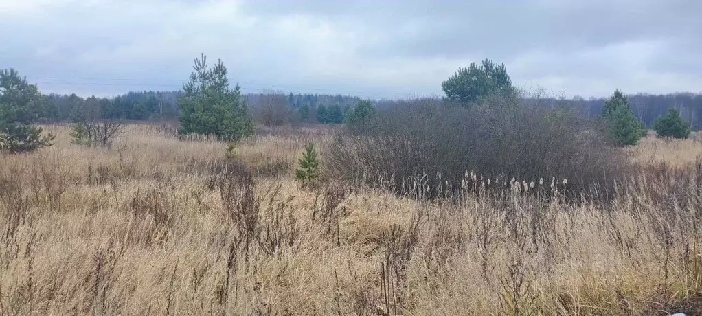 Участок в Московская область, Шатура муниципальный округ, д. Дубровка ... - Фото 1