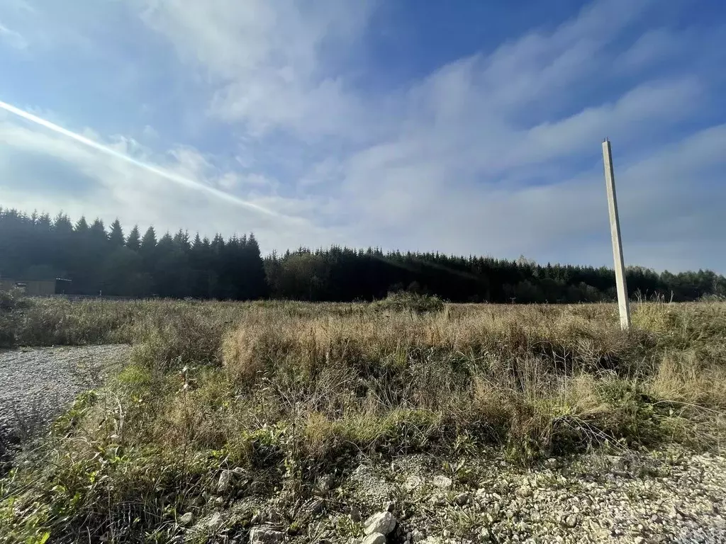 Участок в Ленинградская область, Ломоносовский район, Виллозское ... - Фото 2