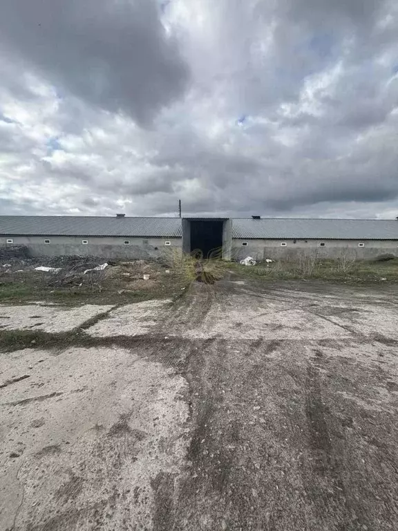 Помещение свободного назначения в Белгородская область, ... - Фото 2