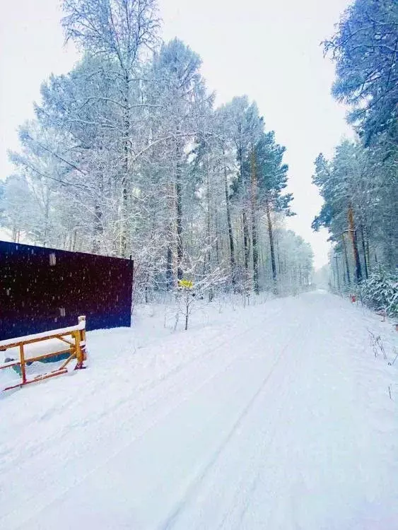 Участок в Иркутская область, Иркутский муниципальный округ, Петровская ... - Фото 1