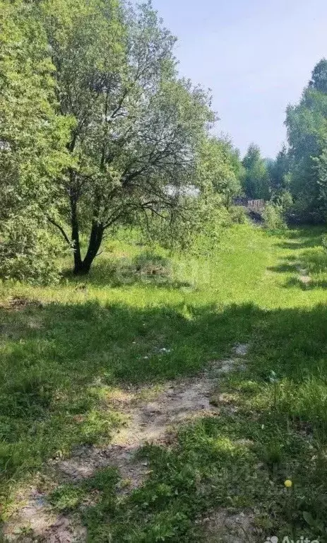 Участок в Иркутская область, Иркутский муниципальный округ, с. Мамоны ... - Фото 2