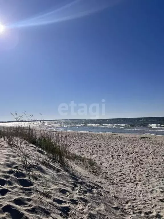 Дом в Калининградская область, Зеленоградск Прибой садоводческое ... - Фото 0