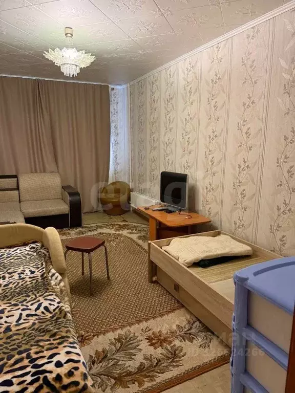 1-к кв. Ямало-Ненецкий АО, Муравленко ул. 70 лет Октября, 30 (38.7 м) - Фото 2