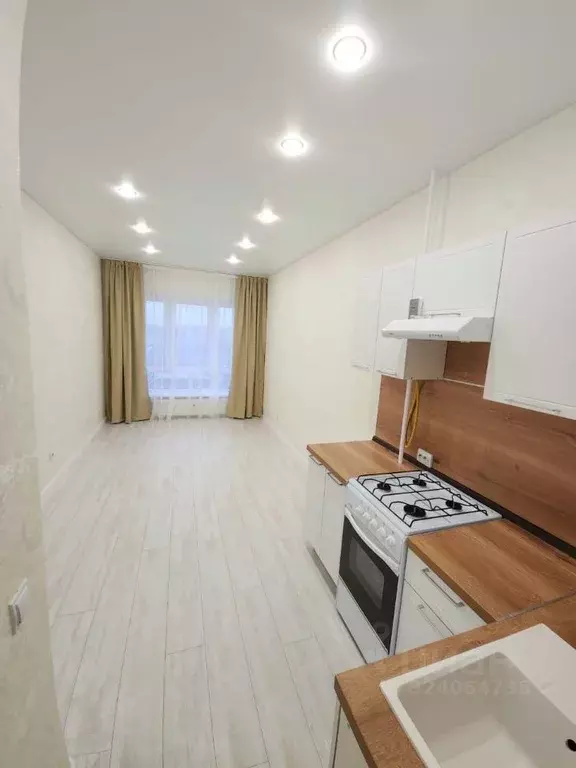 1-к кв. Псковская область, Псков Линейная ул., 85 (37.01 м) - Фото 1