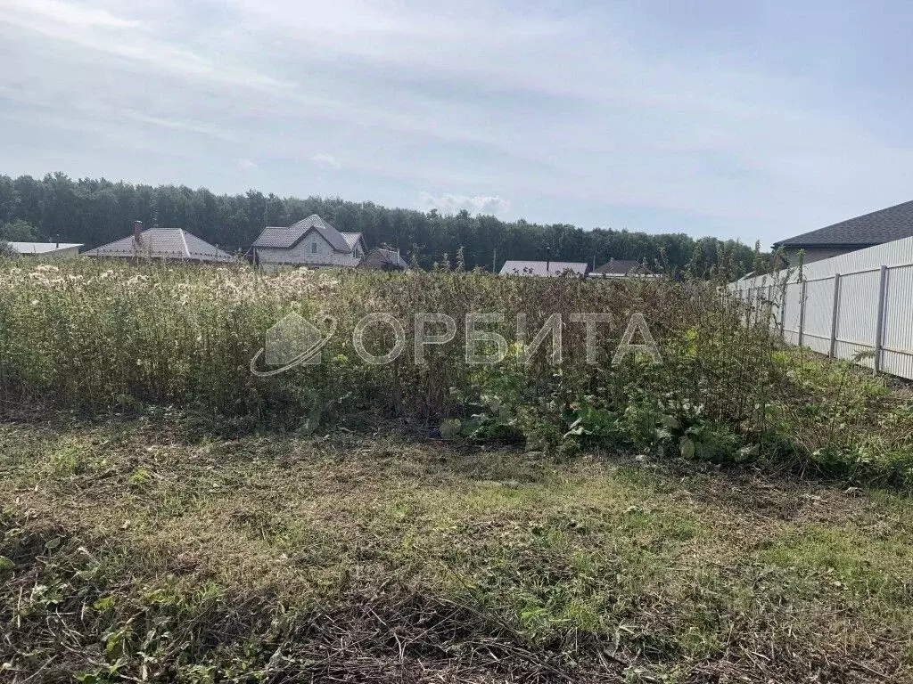 Участок в Тюменская область, Тюменский район, с. Ембаево  (10.0 сот.) - Фото 2