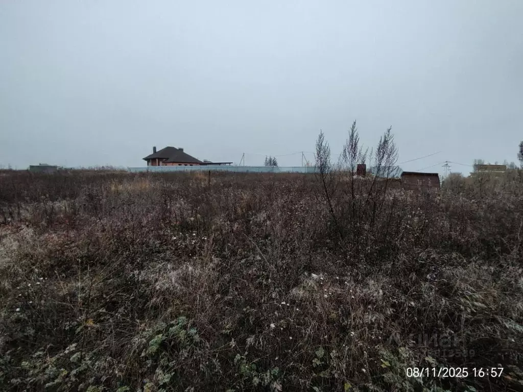 Участок в Белгородская область, Строитель Яковлевский городской округ, ... - Фото 1
